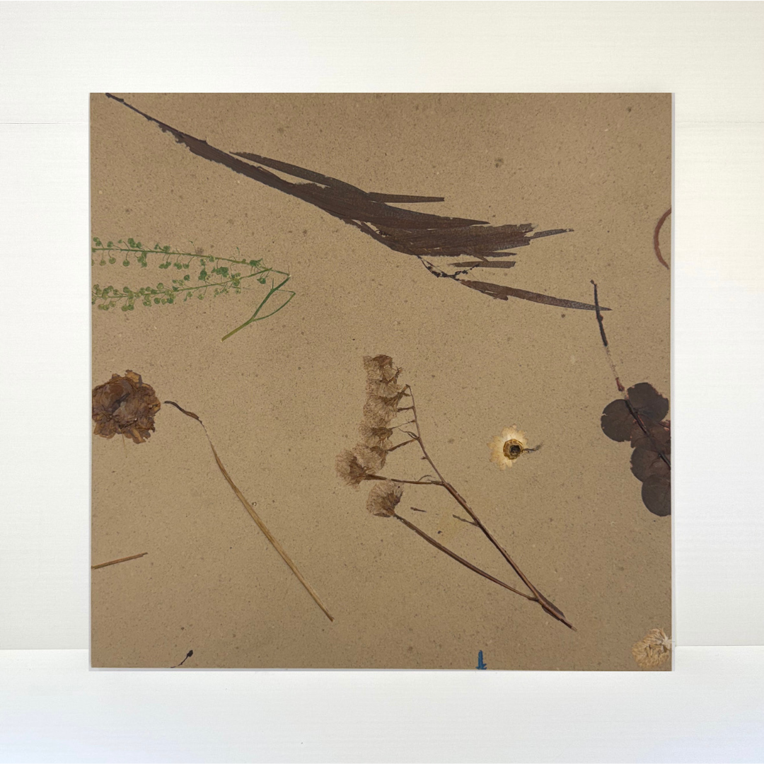 【SAMPLE】PANECO® LOSSFLOWER BOARD  カットサンプル  300mm角
