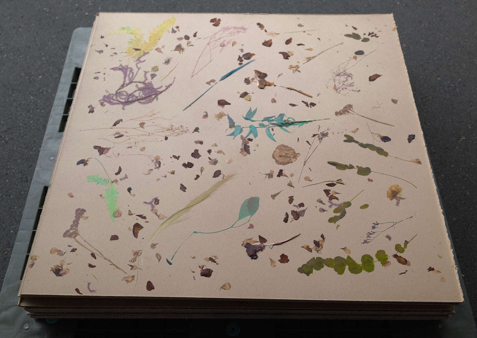 【限定生産】ロスフラワーパネコ LOSSFLOWER×PANECO® MATERIAL BOARD 930mm×930mm t5.5