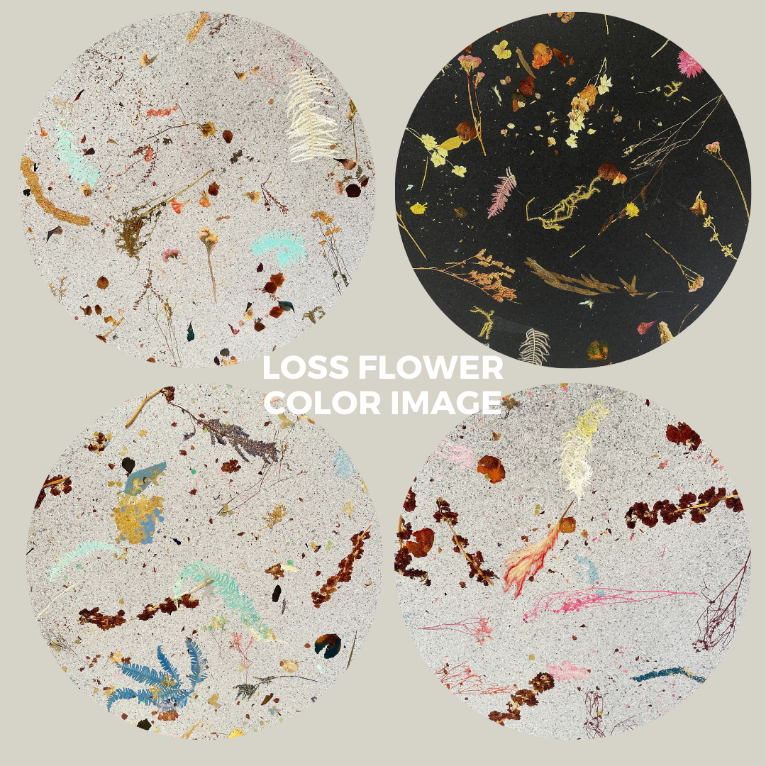 【限定生産】ロスフラワーパネコ LOSSFLOWER×PANECO® MATERIAL BOARD 930mm×930mm t5.5